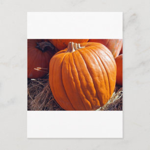 Oranje pompoen briefkaart