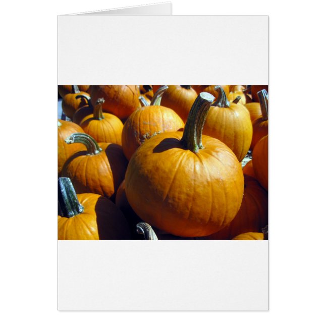 Oranje pompoenen (Voorkant)