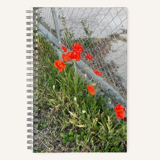 Oranje Poppies Journal Notitieboek (Voorkant)