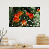 Oranje Prickly Pear Cactus Flower Poster (Keuken)