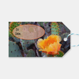 Oranje Prickly Pear Opuntia Cactus Flower Photo Cadeaulabel