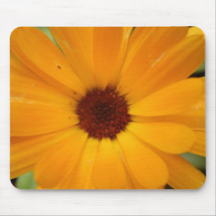 Oranje Regen Daisy Mousepad Muismat
