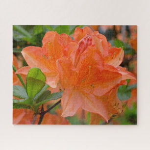 Oranje Rhododendron Jigzaag Puzzle Legpuzzel