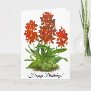 Oranje rode orchidee ventilator persoonlijke Kaart