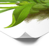 Oranje rode orchidee ventilator Poster (Hoek)