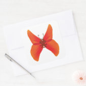 Oranje rode papavervlinder met Jouw naam Vierkante Sticker (Envelop)