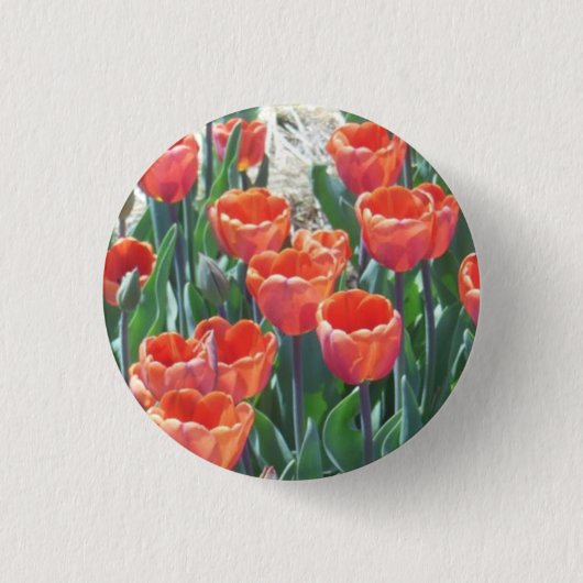 Oranje-Rode Tulpen Ronde Button 3,2 Cm (Voorkant)