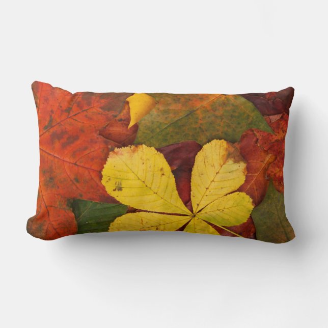 Oranje, rood, geel herfst lekt een toevallige pila kussen (Voorkant)