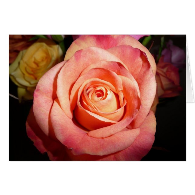 Oranje Roos (Voorkant Horizontaal)