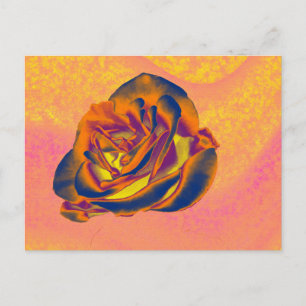Oranje Roos Briefkaart