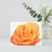 Oranje Roos Briefkaart (Staand voorkant)