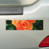 Oranje roos bumpersticker (Op auto)