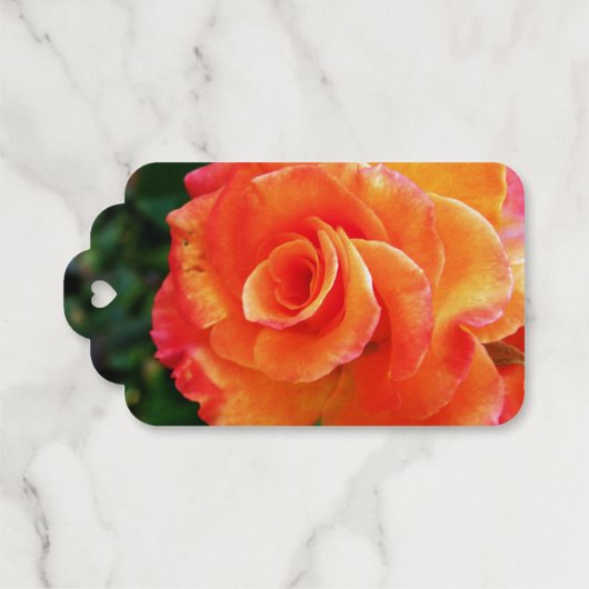 Oranje roos cadeaulabels (Achterkant (horizontaal))