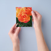 Oranje roos flyer (Hand)