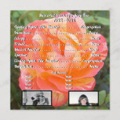 Oranje Roos Foto Name Memorial Service Programma (Achterkant)