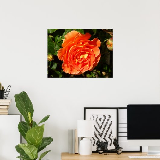 Oranje Roos I Floral Poster (Thuiskantoor)