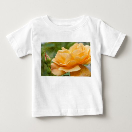 Oranje Roos Painterly (Voorkant)