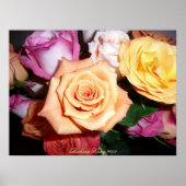 Oranje Roos Poster (Voorkant)
