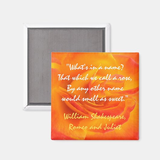 Oranje Roos Quote Magnet Magneet (Voorkant / Achterkant)