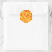 Oranje Roos Ronde Sticker (Tas)