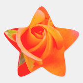 Oranje Roos Stikers Ster Sticker (Voorkant)