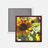Oranje Roos Zonnebloem Magneet (Voorkant / Achterkant)