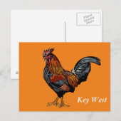 Oranje Rooster Key West Post Kaart (Voorkant / Achterkant)