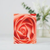 Oranje rozen bloem briefkaart (Staand voorkant)