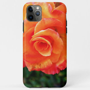 Oranje rozen bloem iPhone 11 pro max hoesje