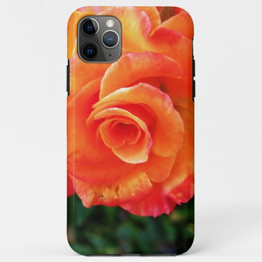 Oranje rozen bloem Case-Mate iPhone case (Achterkant)