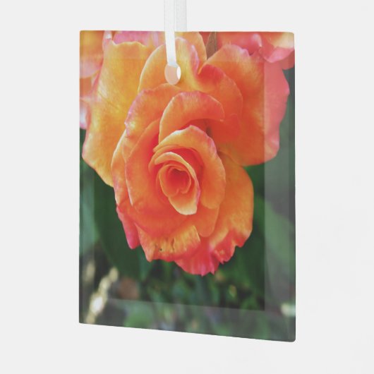 Oranje rozen bloem glas ornament (Voorkant links)