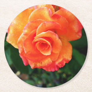 Oranje rozen bloem ronde kartonnen onderzetter
