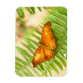 Oranje ruw vlinder magneet (Verticaal)