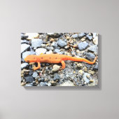 Oranje Salamander Canvas Afdruk (Voorkant)