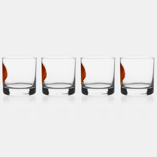 Oranje schelp schelp whisky glas (Links)