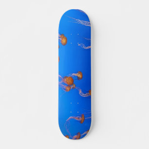 Oranje schelpdierskateboard skateboard