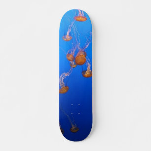 Oranje schelpdierskateboard skateboard