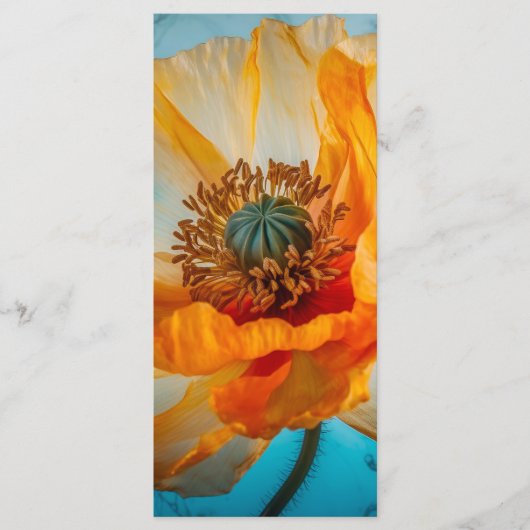 Oranje schoonheid Bladwijzer Menu (Voorkant)