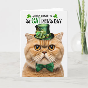 Oranje Schotse Vouw Lucky Charm St CATrick's Day Feestdagen Kaart