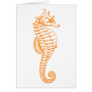 Oranje Seahorse