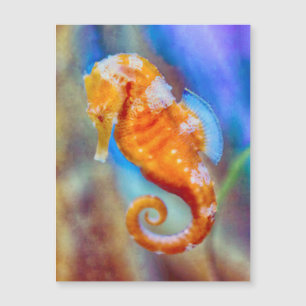 Oranje Seahorse delight