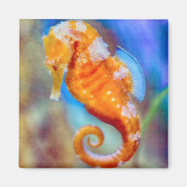 Oranje Seahorse delight Magneet