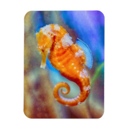 Oranje Seahorse delight Magneet
