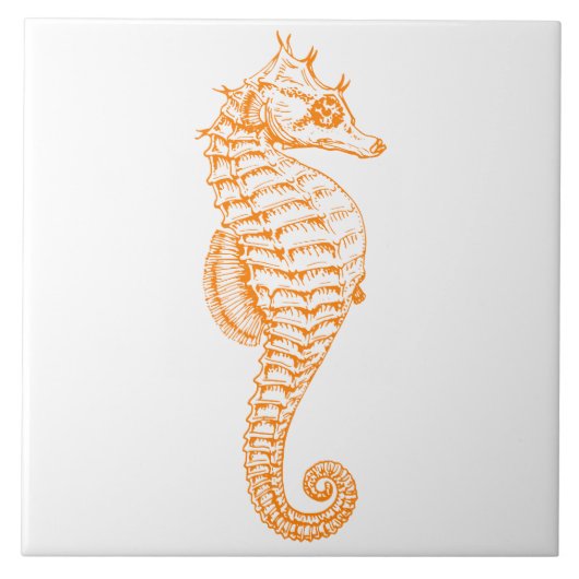 Oranje Seahorse Tegeltje (Voorkant)
