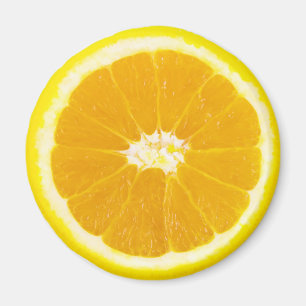 oranje segment magneet