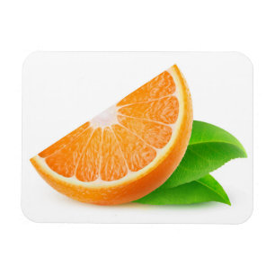 Oranje segment magneet