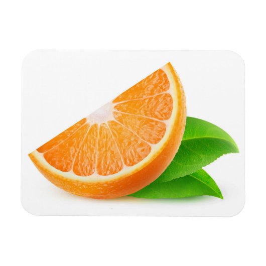 Oranje segment magneet (Horizontaal)