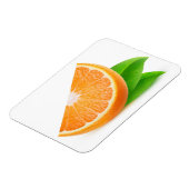 Oranje segment magneet (Linkerzijde)