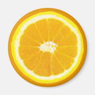 oranje segment magneet