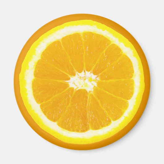 oranje segment magneet (Voorkant)